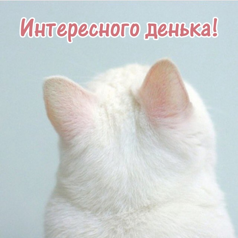  !