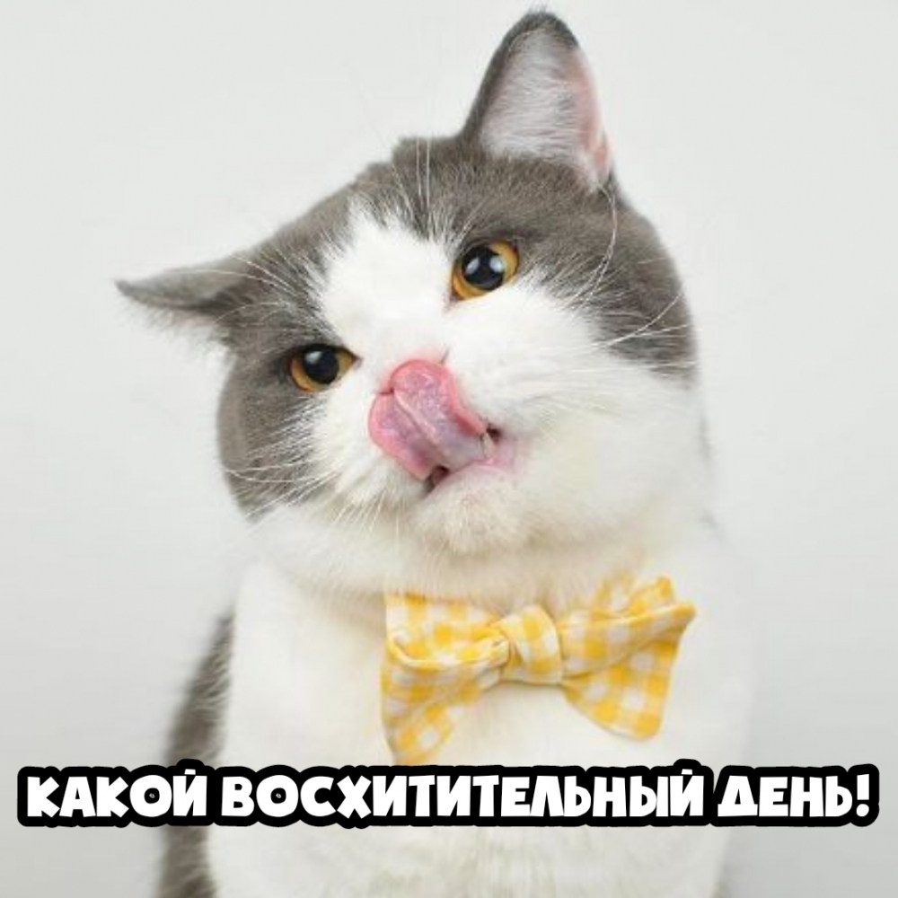 ����� �������������� ����!