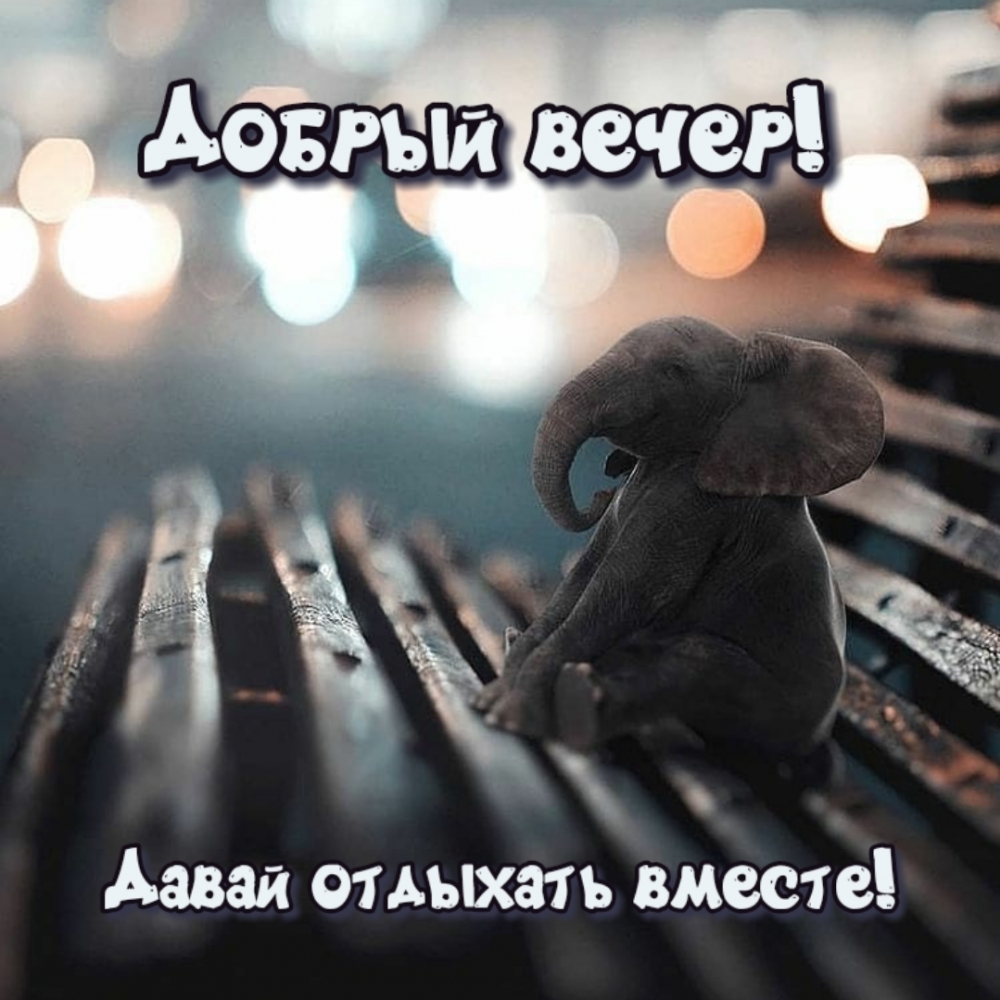  !   !