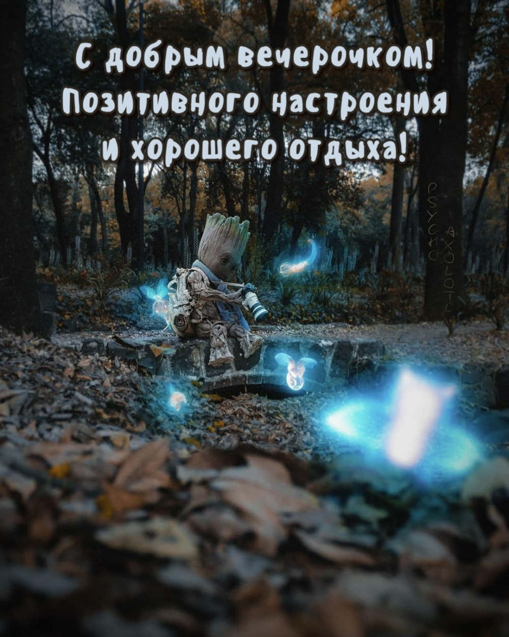     !