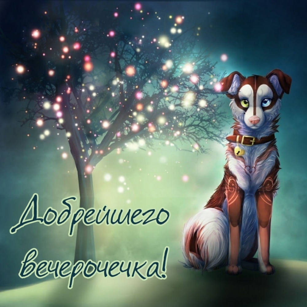 ���������� �����������!