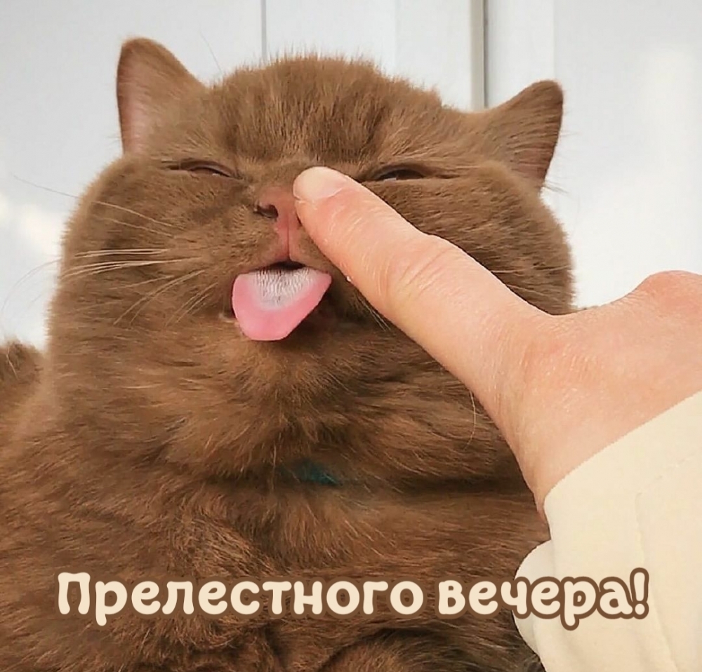  !