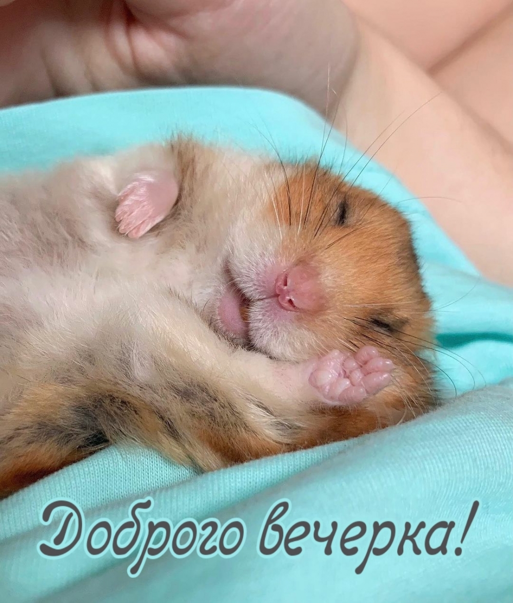  !