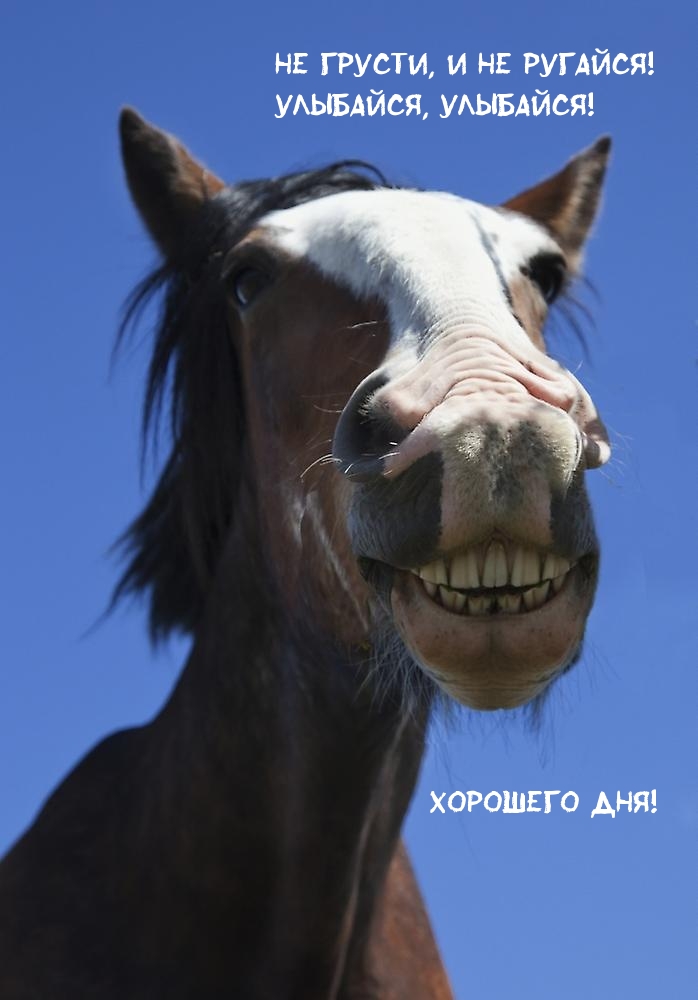  ,   !
