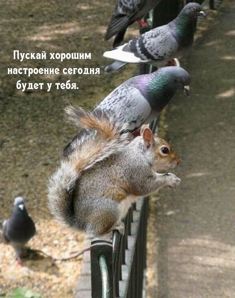 Пускай хорошим настроение сегодня будет у тебя.