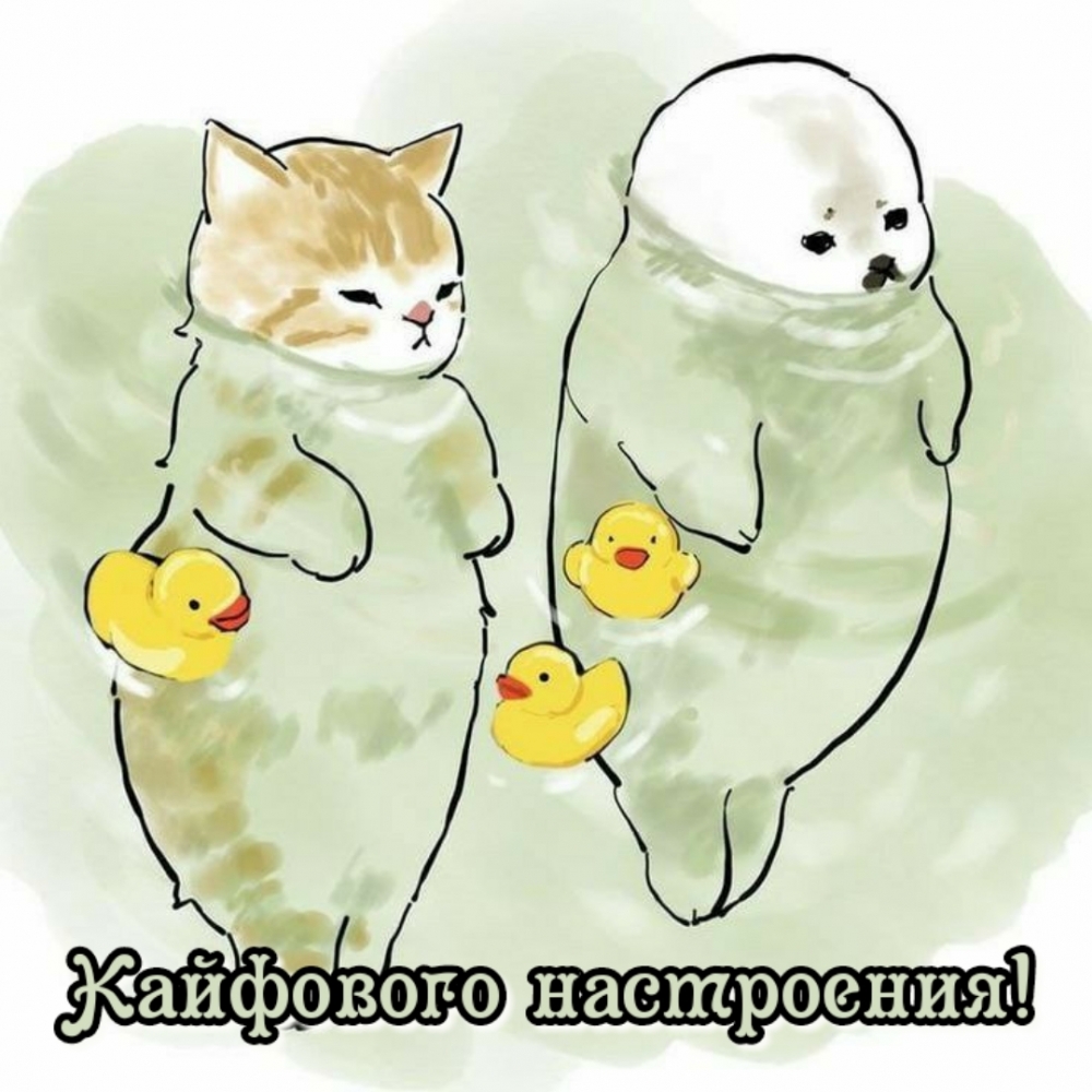  !