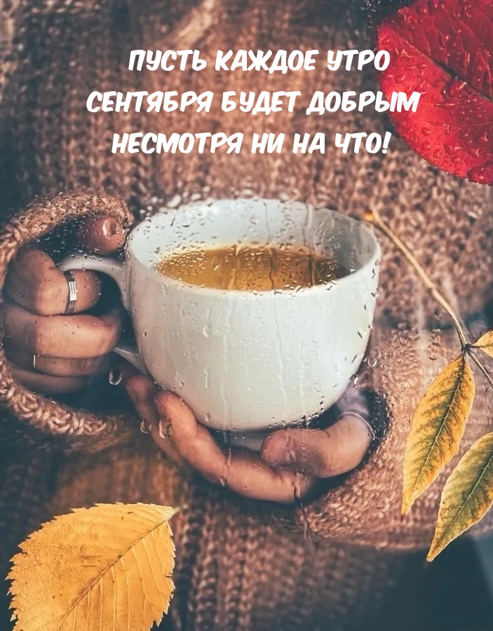 Открыть в полном размере Пусть каждое утро сентября будет добрым несмотря ни на что!