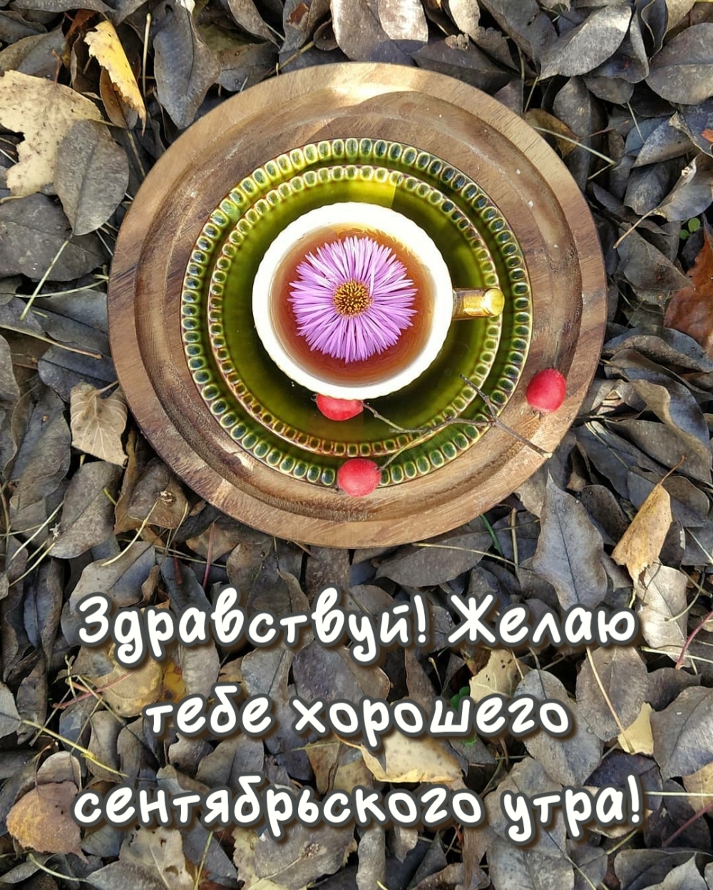 Открыть в полном размере Здравствуй! Желаю тебе хорошего сентябрьского утра!