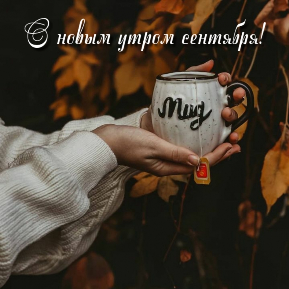 Открыть в полном размере С новым утром сентября!
