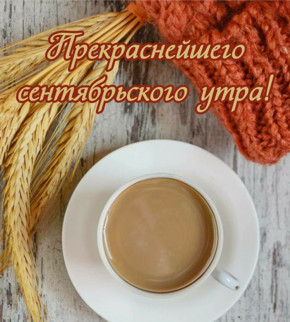 Прекраснейшего сентябрьского утра! Прекраснейшего сентябрьского утра!