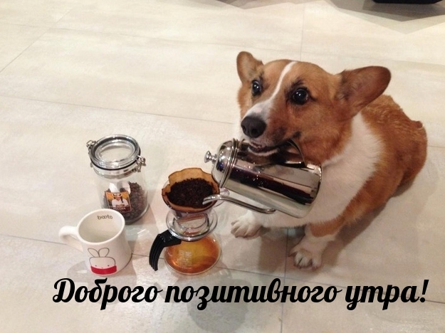 Доброго позитивного утра!