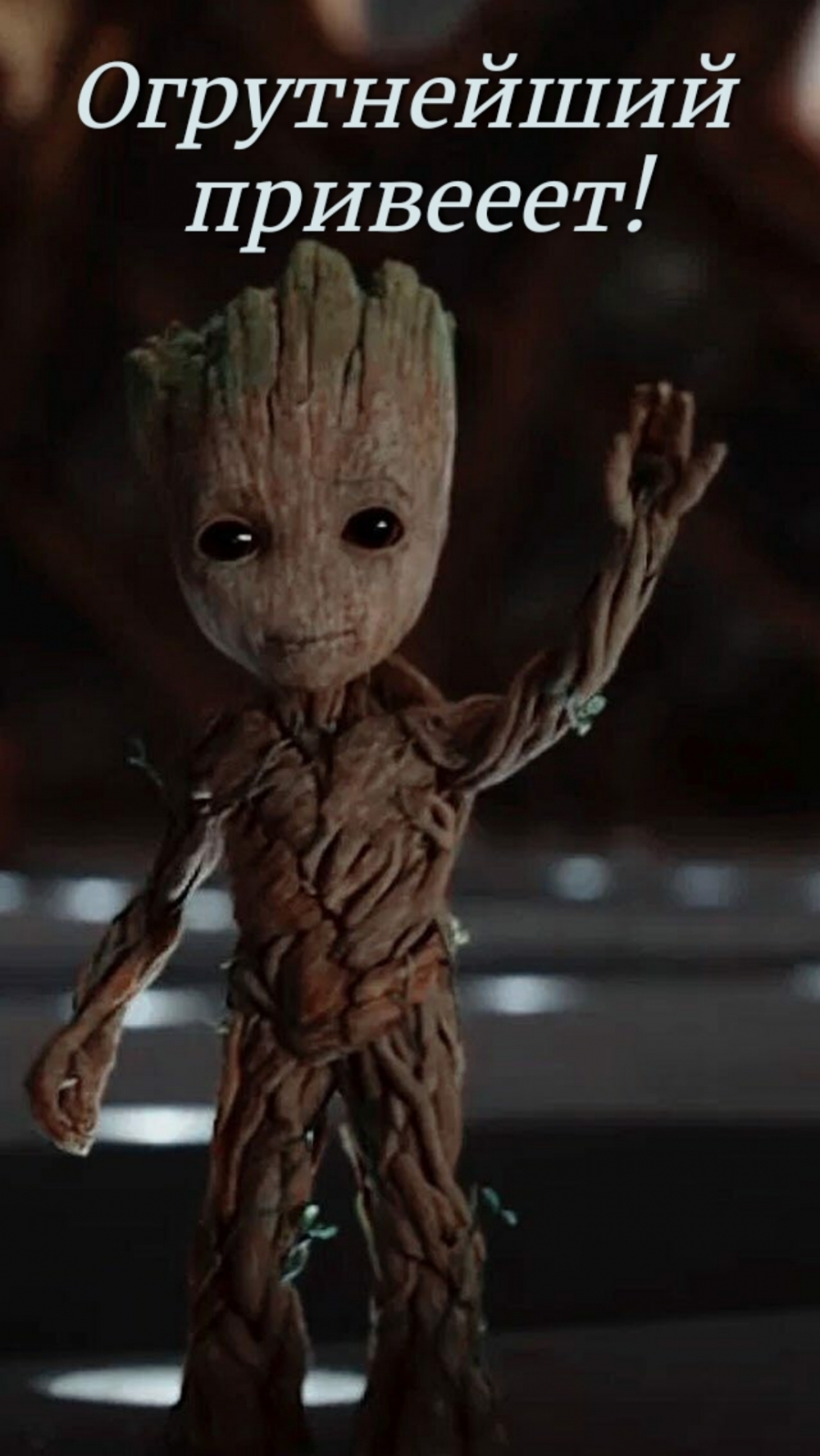 ����������� ��������!