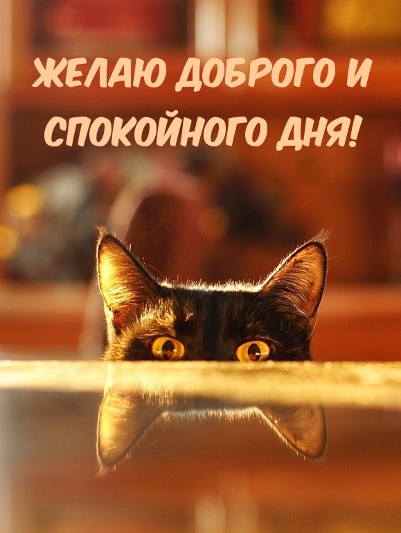 ����� ������� � ���������� ���!