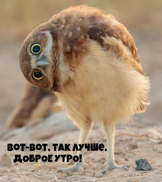 -,  ,  !