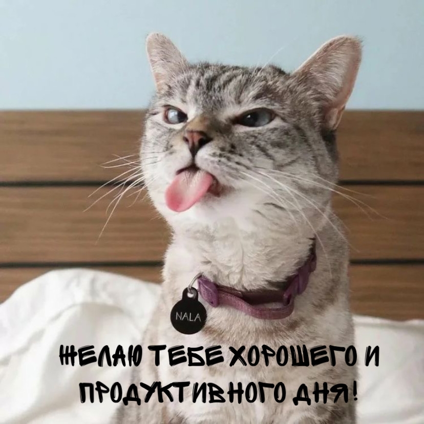 ����� ���� �������� � ������������� ���!