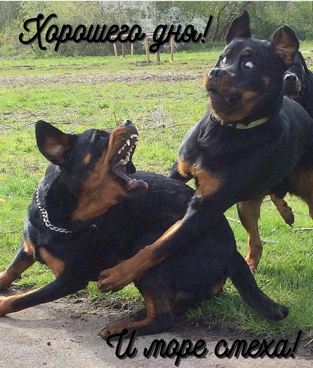 �������� ���! � ���� �����!