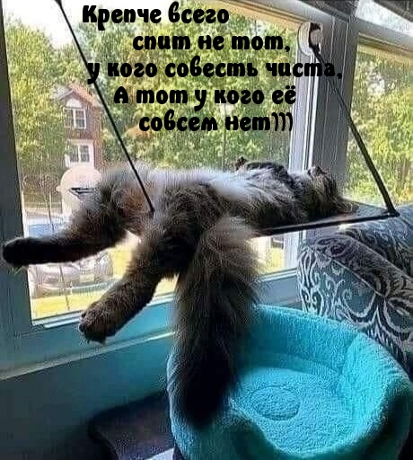     ,    