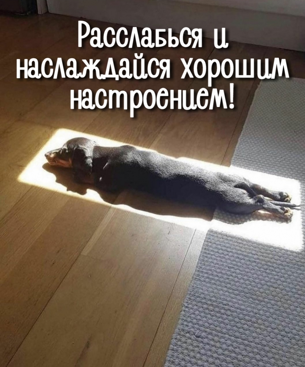     !