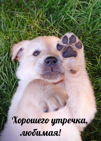 �������� �������, �������!