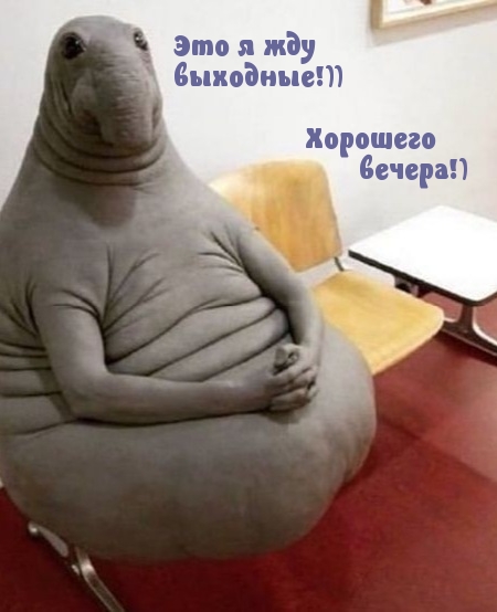 ��� � ���  ��������!)) �������� ������!)