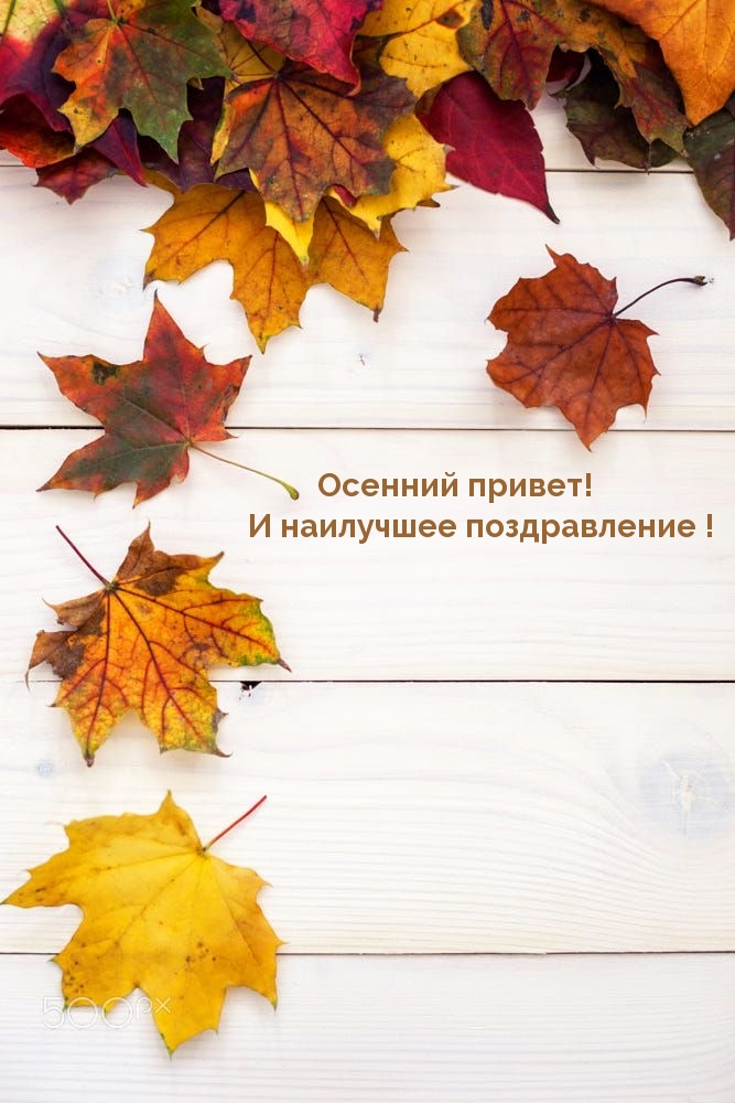 ������� ������! � ��������� ������������!