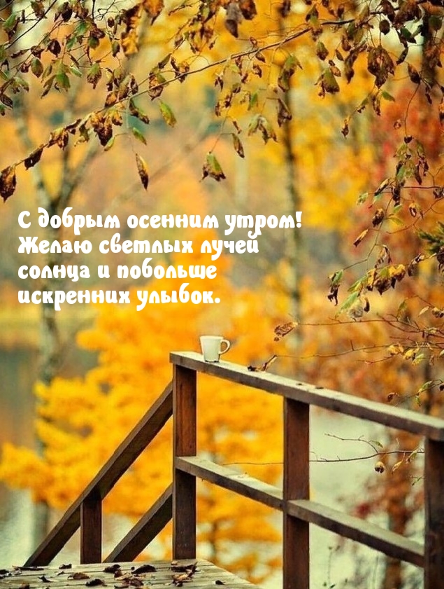 � ������ ������� �����! 