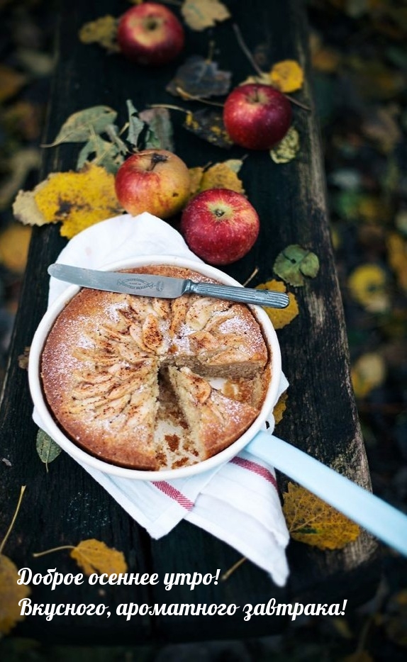 ������ ������� ����! ��������, ���������� ��������!