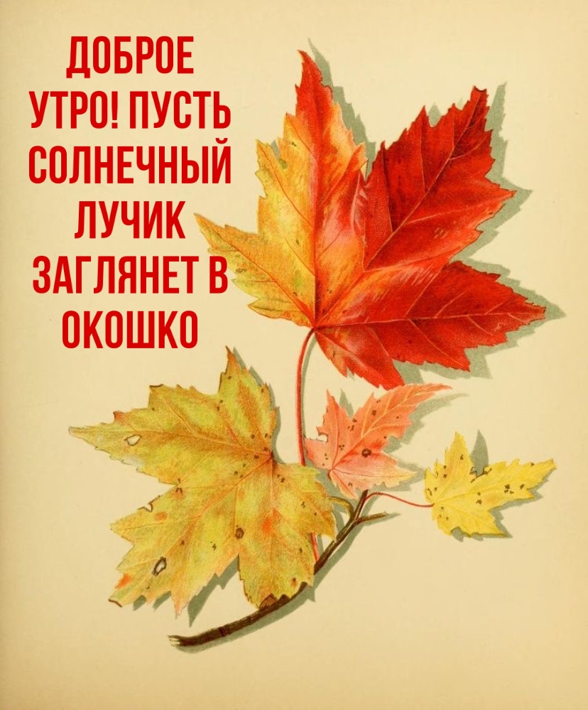 ������ ����! ����� ��������� ����� �������� � ������