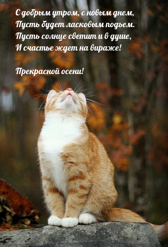      .  !