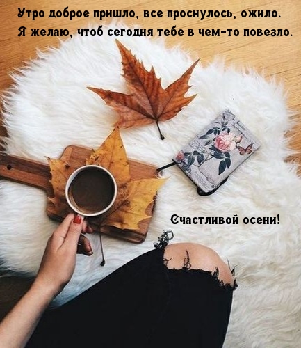   ,  , 