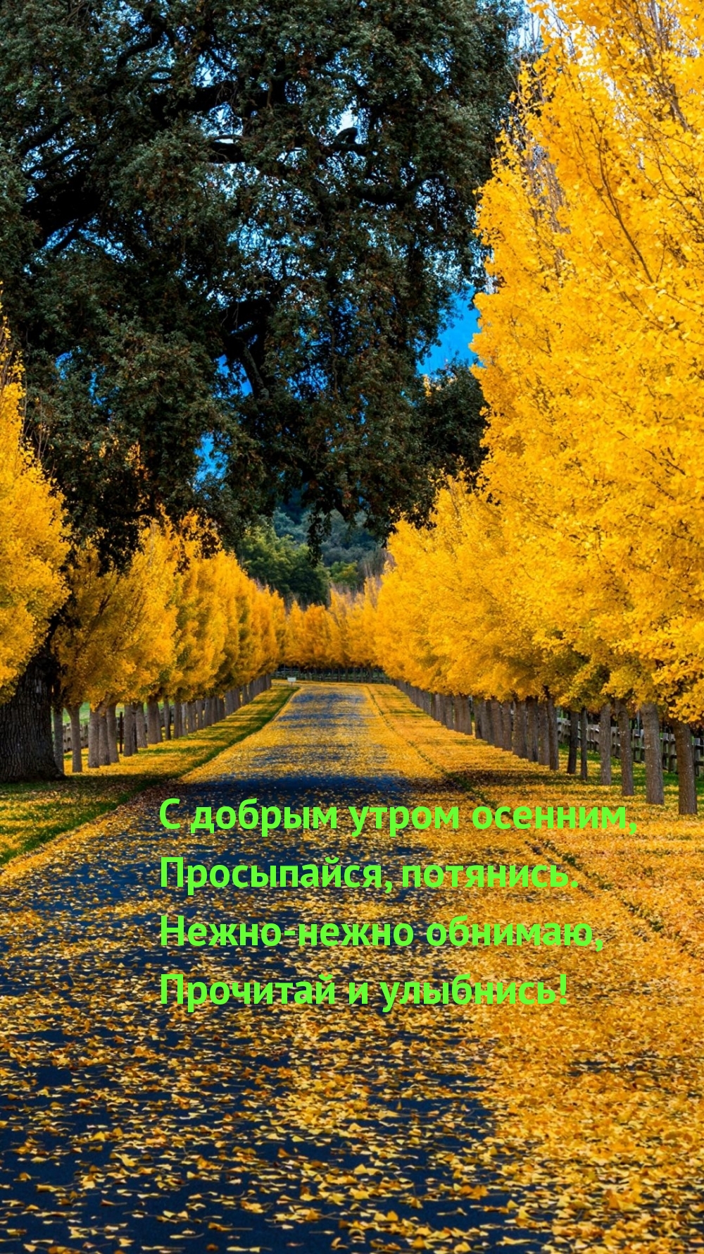    , , .