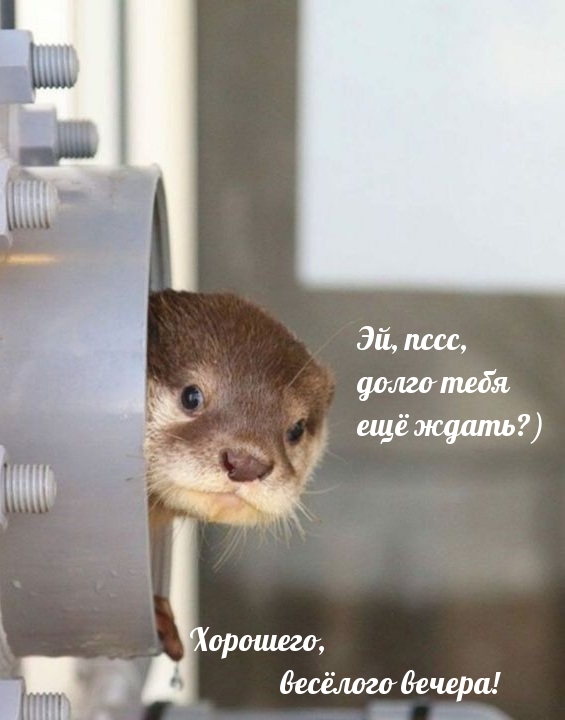 ������� ��������� �������� ������