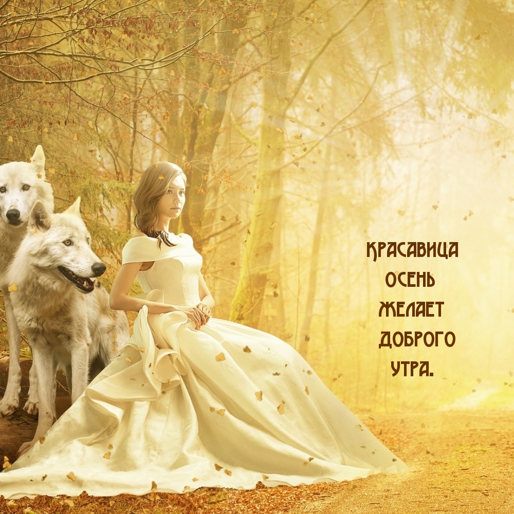 ��������� ����� ������ ������� ����.