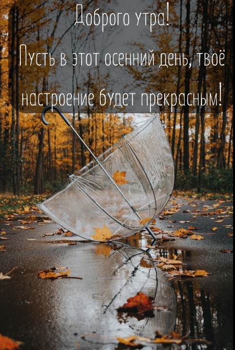     ,    ! 