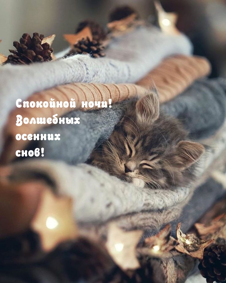  !   !