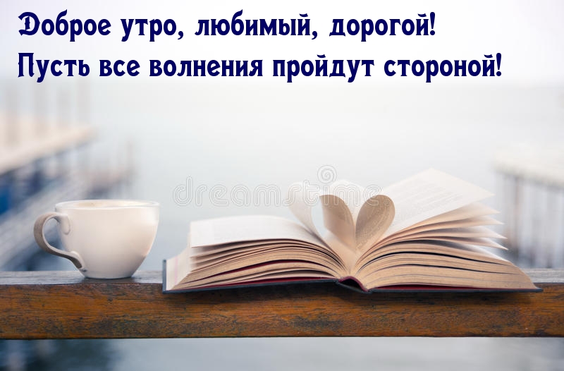 ������ ����, �������, �������!