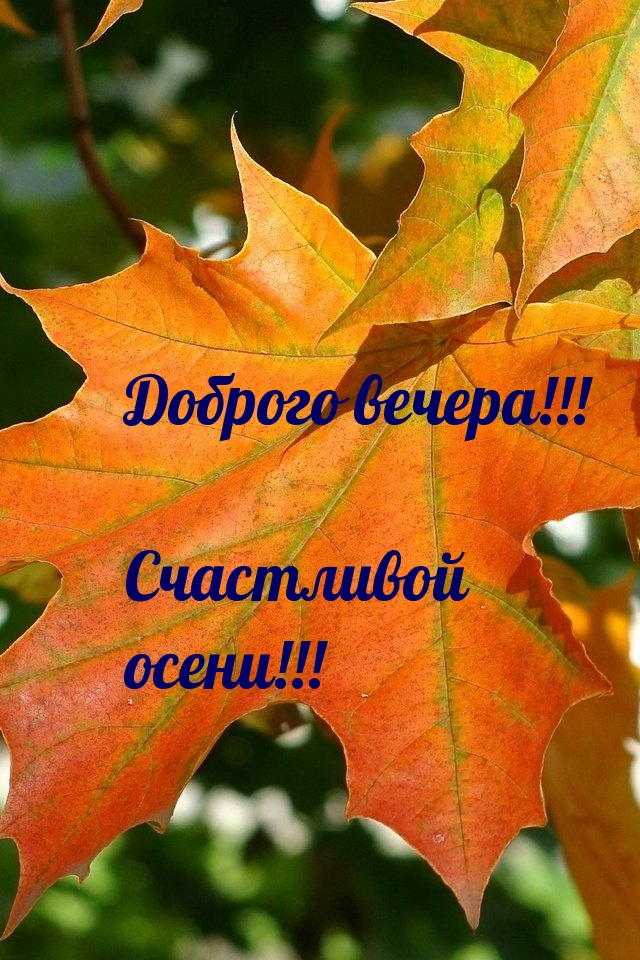 Открыть в полном размере Доброго вечера! Счастливой осени!