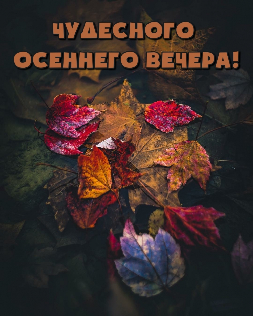 Добрый осенний вечер