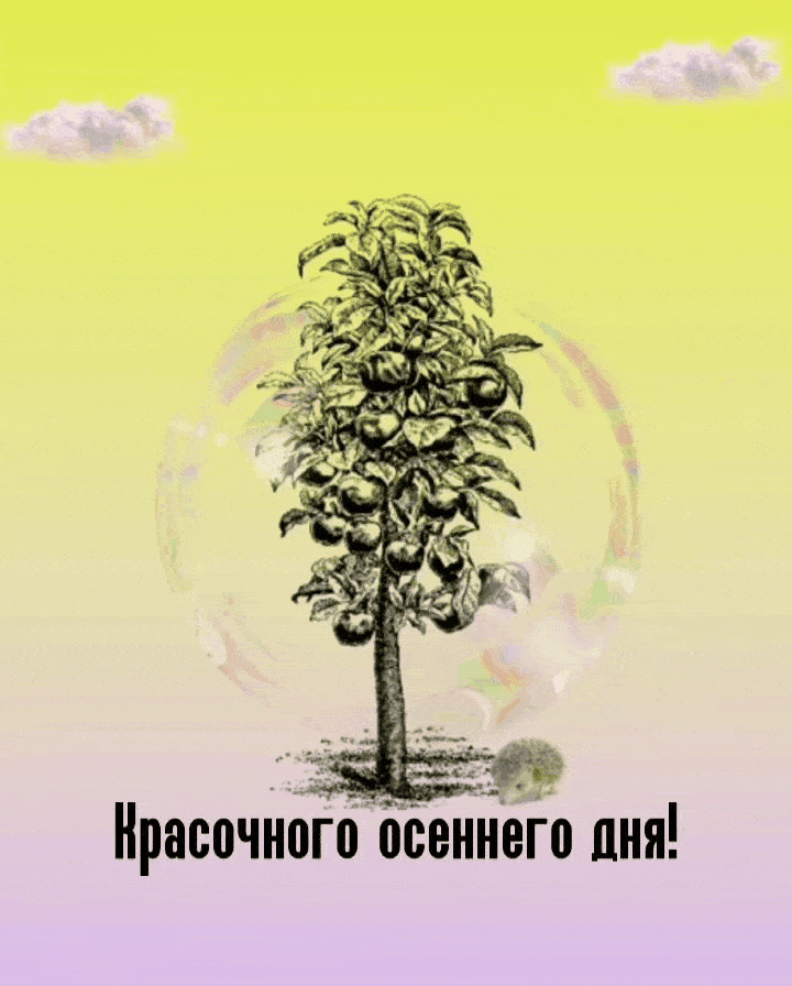   !