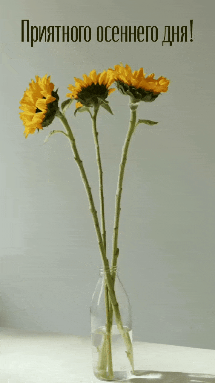 ��������� �������� ���!