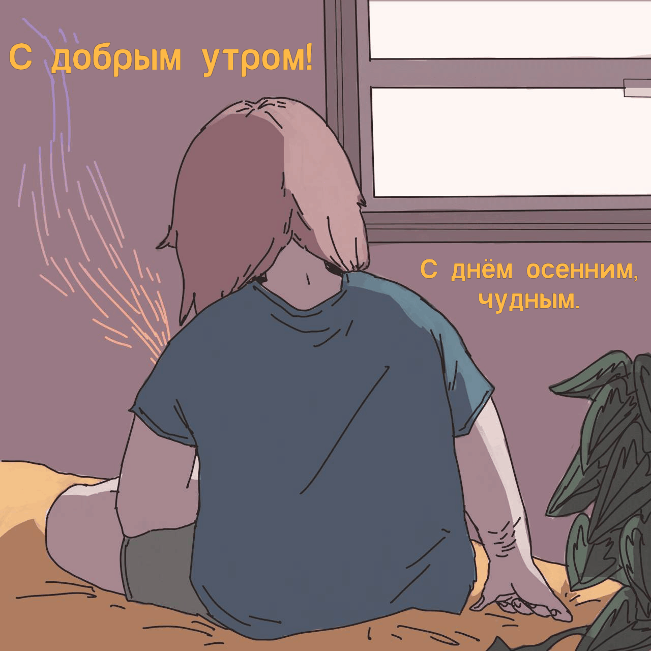   !   , .