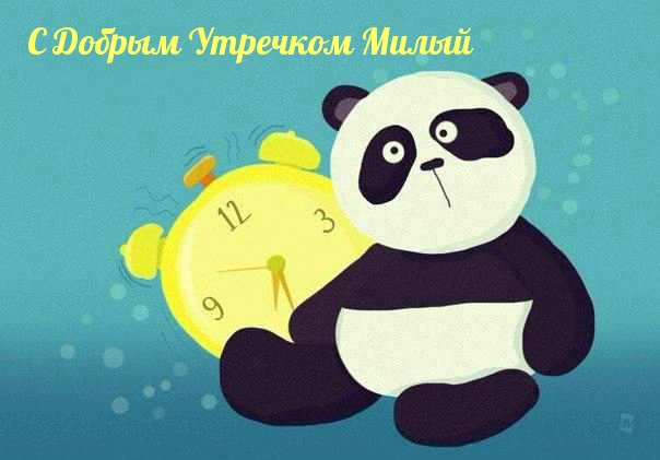 С Добрым Утречком Милый С Добрым Утречком Милый