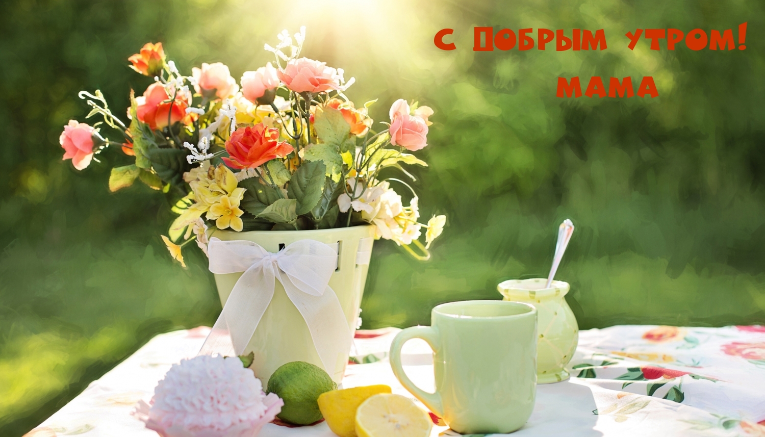 � ������ �����! ����