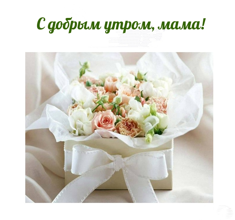 � ������ �����, ����!