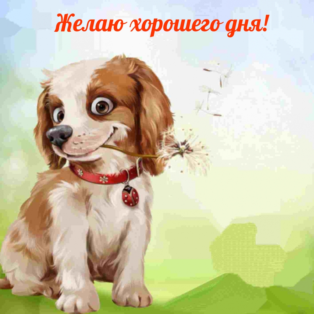 ����� �������� ���!