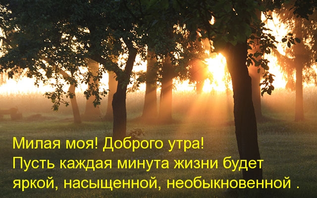 Открыть в полном размере Милая моя! Доброго утра!