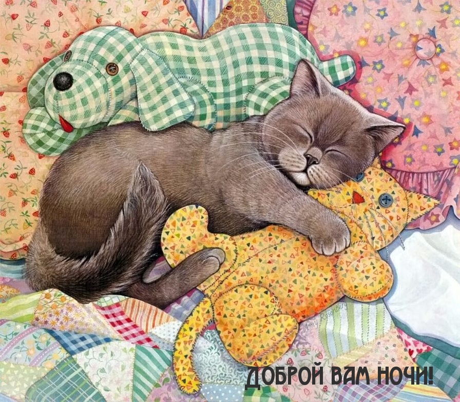 ������ ��� ����!