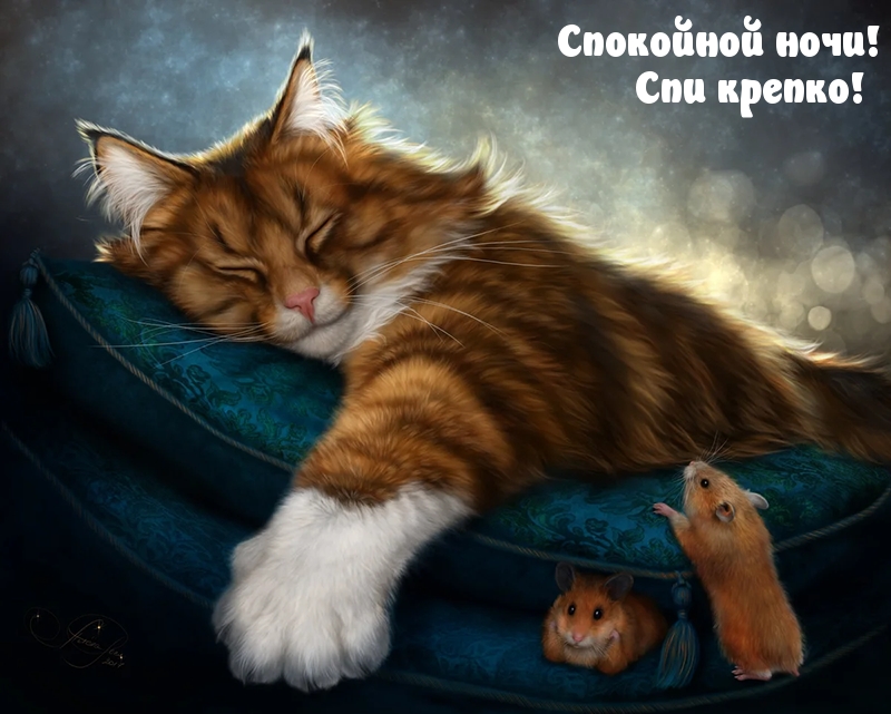 ��������� ����! ��� ������!