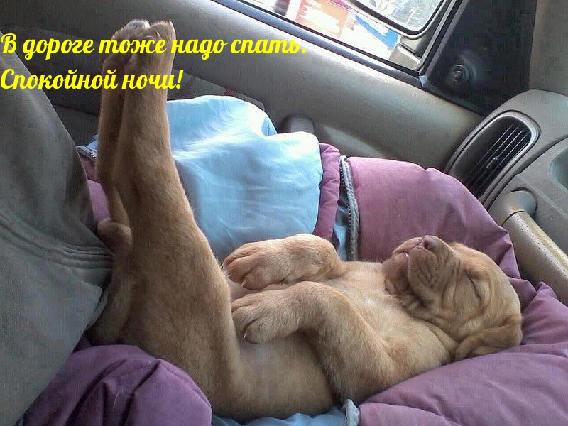 � ������ ���� ���� �����. ��������� ����!