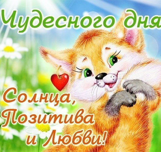  ,    !